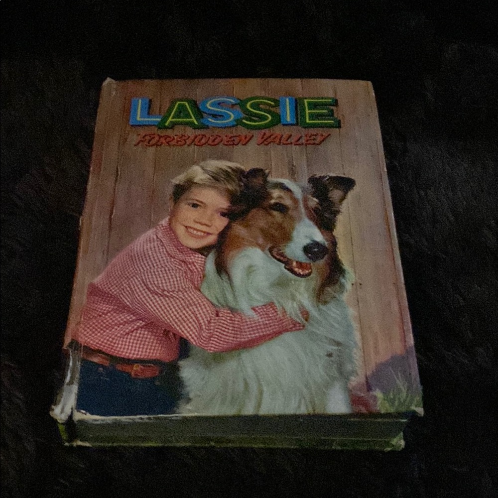 Vintage 1959 Lassie Forbidden Valley Chapter Book by Doris Schroeder